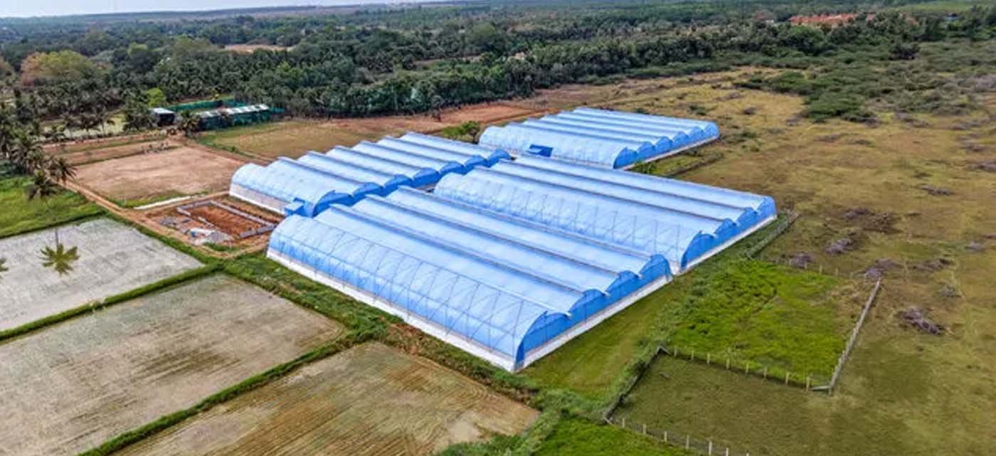 Structuration d'une filière de collecte agricole